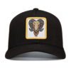 ZODYAK Aries Cap - Image 5